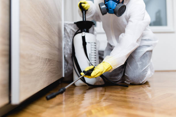 Best Wasp Removal Services  in Coloma, MI
