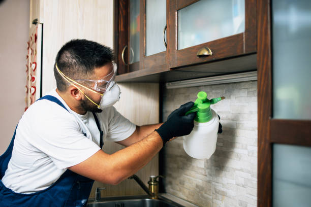 Best Pest Inspection Near Me  in Coloma, MI