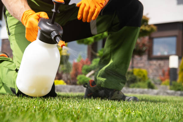 Best Rat Extermination Near Me  in Coloma, MI