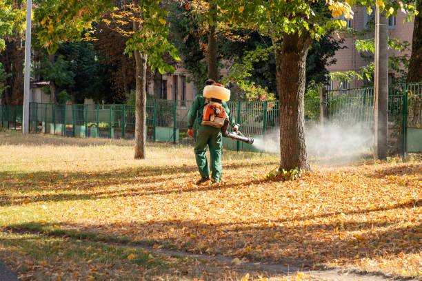 Best Ant Control Services  in Coloma, MI
