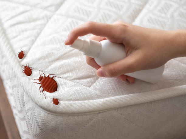 Pest Control for Restaurants in Coloma, MI