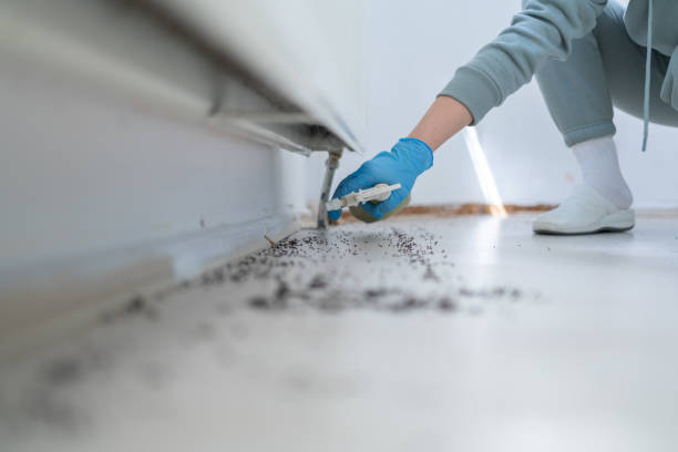 Best Bed Bug Extermination  in Coloma, MI