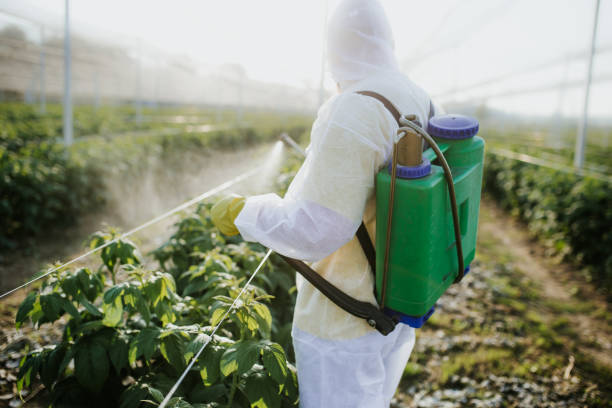 Best Termite Control Services  in Coloma, MI